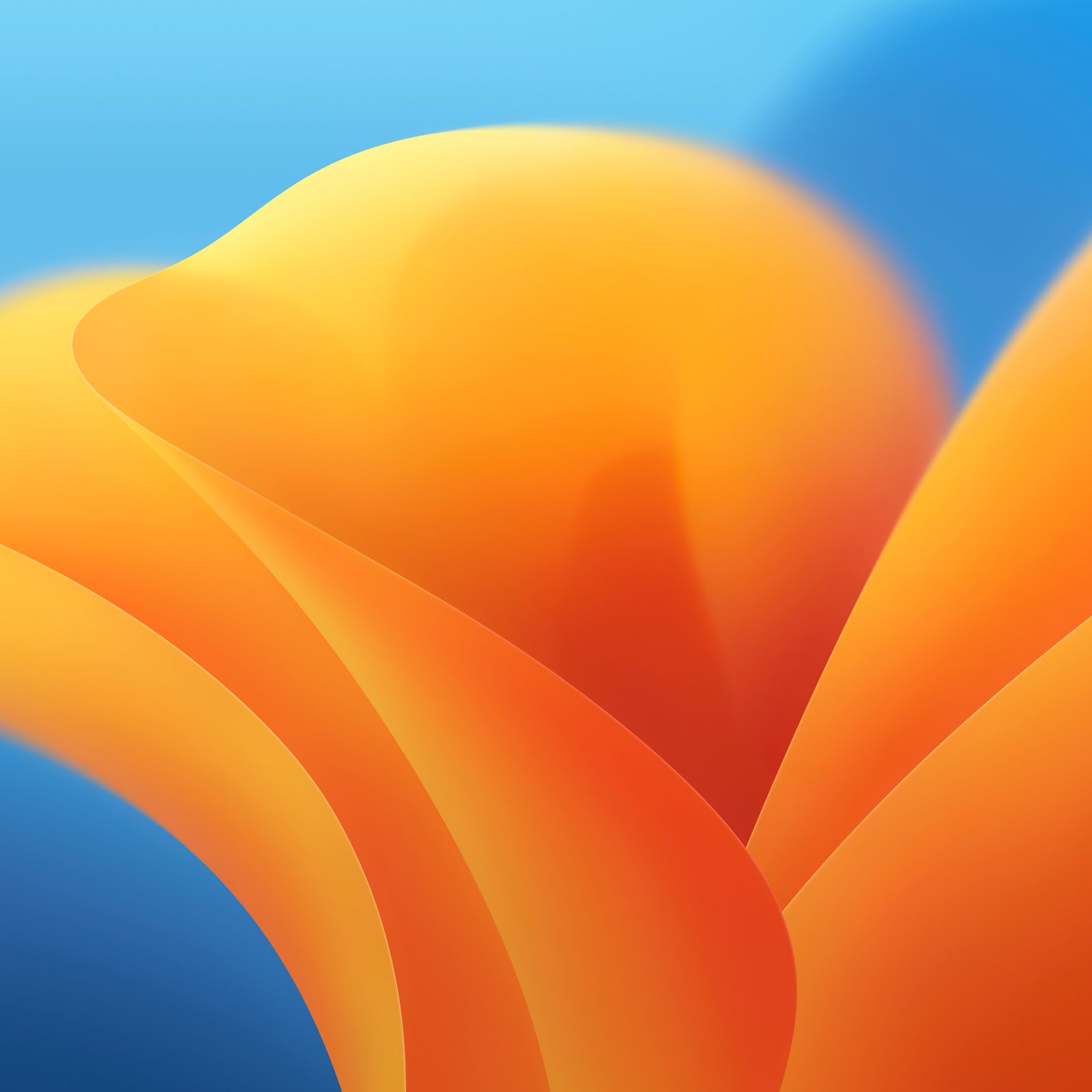 macOS Graphic